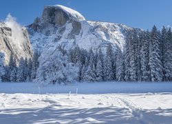 Ośnieżone góry i drzewa w Parku Narodowym Yosemite w pogodny dzień