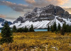 Góry, Chmury, Jezioro, Bow Lake, Polana, Drzewa, Świerki, Prowincja, Alberta, Park Narodowy Banff, Kanada