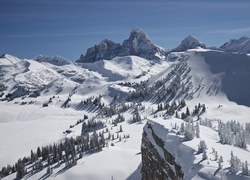 Ośnieżone góry porośnięte drzewami w Parku Narodowym Grand Teton w Wyoming