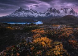 Chile, Patagonia, Park Narodowy Torres del Paine, Góry, Jesień, Roślinność