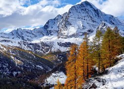 Ośnieżone góry w Parku przyrody Alpe Veglia i Alpe Devero
