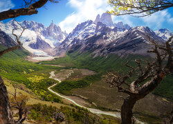 Argentyna, Patagonia, Góry, Ośnieżone, Fitz Roy, Drzewa
