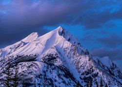 Zima, Góry Skaliste, Szczyt, Peter Lougheed Park, Alberta, Kanada