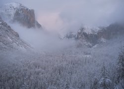 Stany Zjednoczone, Kalifornia, Zima, Góry, Sierra Nevada, Ośnieżone, Drzewa, Mgła, Park Narodowy Yosemite