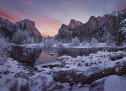 Ośnieżone kamienie i powalone drzewo na brzegu rzeki Merced River