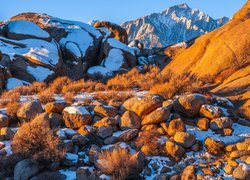 Skały, Śnieg, Krzewy, Góry, Alabama Hills, Hrabstwo Inyo, Kalifornia, Stany Zjednoczone