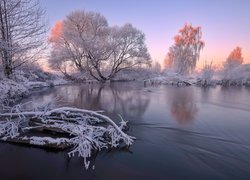 Ośnieżone krzewy i drzewa dookoła jeziora