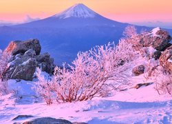 Ośnieżone krzewy i skały na tle góry Fudżi