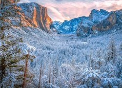 Stany Zjednoczone, Park Narodowy Yosemite, Dolina, Yosemite Valley, Góra, El Capitan, Zima, Drzewa, Ośnieżone, Skały