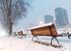 Ośnieżone ławki z widokiem na wieżowce