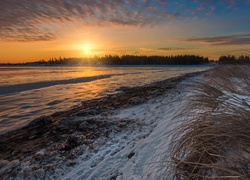 Pola, Śnieg, Zachód słońca, Suche, Trawy