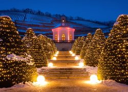 Ośnieżone schody i oświetlone choinki w Winiarni Schloss Wackerbarth