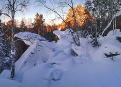 Ośnieżone skały i drzewa w górach