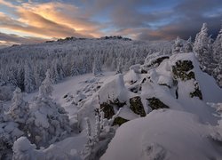 Las, Zima, Ośnieżone, Drzewa, Skały, Chmury