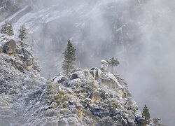 Park Narodowy Yosemite, Kalifornia, Stany Zjednoczone, Góry, Skały, Drzewa, Mgła