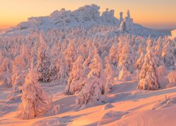 Zima, Drzewa, Świerki, Ośnieżone, Zaspy, Wschód słońca, Góry, Ural, Rosja