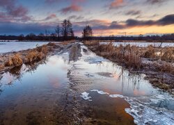 Ośnieżone trawy i kałuże na polnej drodze