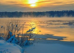 Zima, Jezioro, Mgła, Las, Ośnieżone, Trawy, Śnieg, Zachód słońca