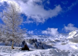 Zima, Drzewa, Góry, Wzgórza