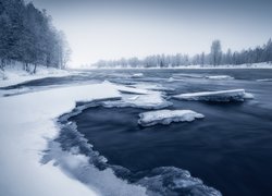 Zima, Las, Drzewa, Jezioro, Brzeg, Śnieg