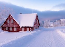 Dom, Droga, Drzewa, Śnieg