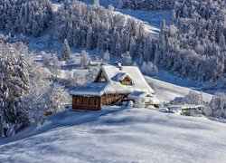 Ośnieżony dom i drzewa na zboczu góry