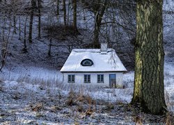 Ośnieżony dom pod drzewami na wzgórzu