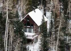 Dom, Las, Śnieg, Drzewa, Zima