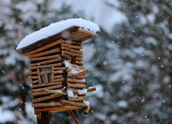 Ośnieżony domek dla ptaków