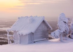 Osnieżony domek i drzewa na wzgórzu