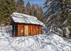 Ośnieżony drewniany domek pod drzewami w śniegu