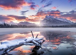 Zima, Jezioro, Kłody, Śnieg, Góry, Las, Drzewa, Park Narodowy Banff, Alberta, Kanada