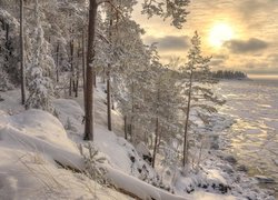 Ośnieżony las nad jeziorem pokrytym krą