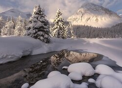 Ośnieżony las nad rzeką z widokiem na rozświetlone góry Canadian Rockies w oddali