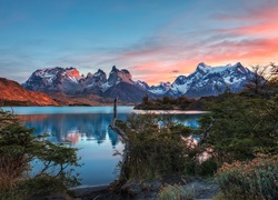 Chile, Patagonia, Góry Torres del Paine, Ośnieżone, Szczyty, Jezioro, Zachód słońca, Krzewy, Park Narodowy Torres del Paine