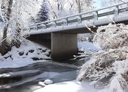 Ośnieżony most i drzewa nad zamarzniętą rzeką