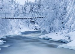Zima, Śnieg, Las, Drzewa, Rzeka, Most