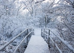 Ośnieżony mostek w zimowym lesie
