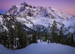 Ośnieżony Mount Shuksan w Parku Narodowym Północnych Gór Kaskadowych