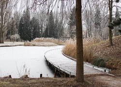 Ośnieżony pomost i trawy nad zamarzniętym stawem w parku