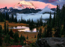 Stratowulkan, Góra, Mount Rainier, Drzewa, Jezioro, Tipsoo Lake, Park Narodowy Mount Rainier, Stan Waszyngton, Stany Zjednoczone