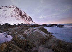 Ośnieżony szczyt nad skalistym morskim wybrzeżem