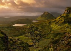 Góry, Jeziora, Drzewo, Chmury, Wyspa Skye, Quiraing, Szkocja