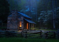 Oświetlona drewniana chata w lesie