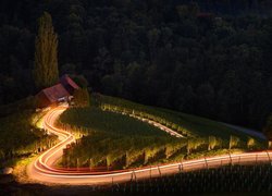 Oświetlona droga wśród winnic we wsi Spicnik