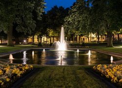 Park, Oświetlona, Fontanna, Kwiaty, Drzewa, Noc