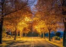 Oświetlona latarniami droga wśród jesiennych drzew