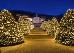 Oświetlone choinki przed Winiarnią Schloss Wackerbarth