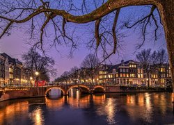 Oświetlone domy i most nad kanałem w Amsterdamie
