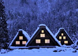 Oświetlone domy nocą wśród ośnieżonych drzew
